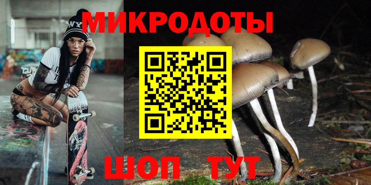 Псилоцибиновые грибы ЛСД Большой Камень